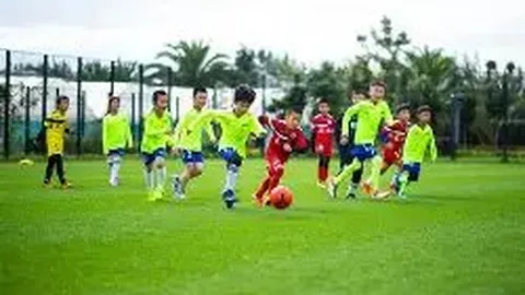 “运动巨星粉丝排行榜公布：揭秘最受热爱的体育明星及粉丝追捧之路”